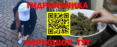 марихуана Камышлов