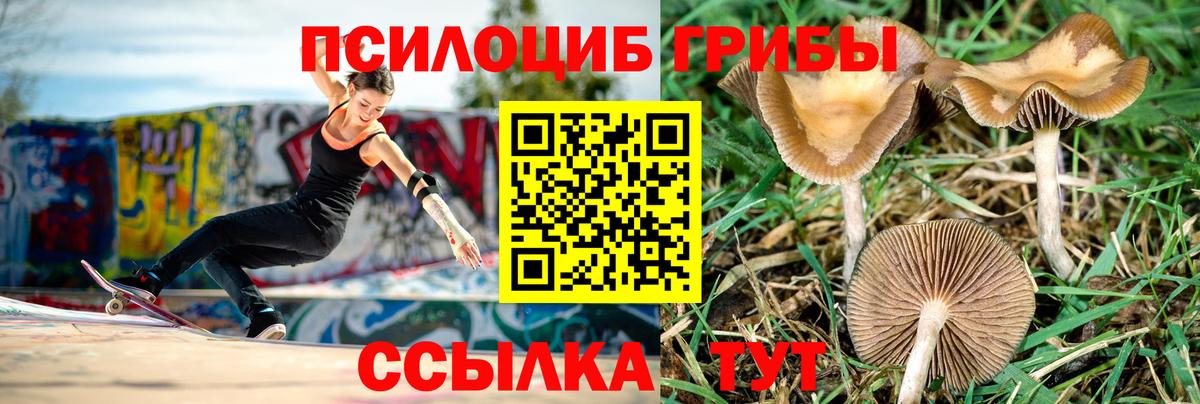 Псилоцибиновые грибы ЛСД  Вход с VPN  Кострома 