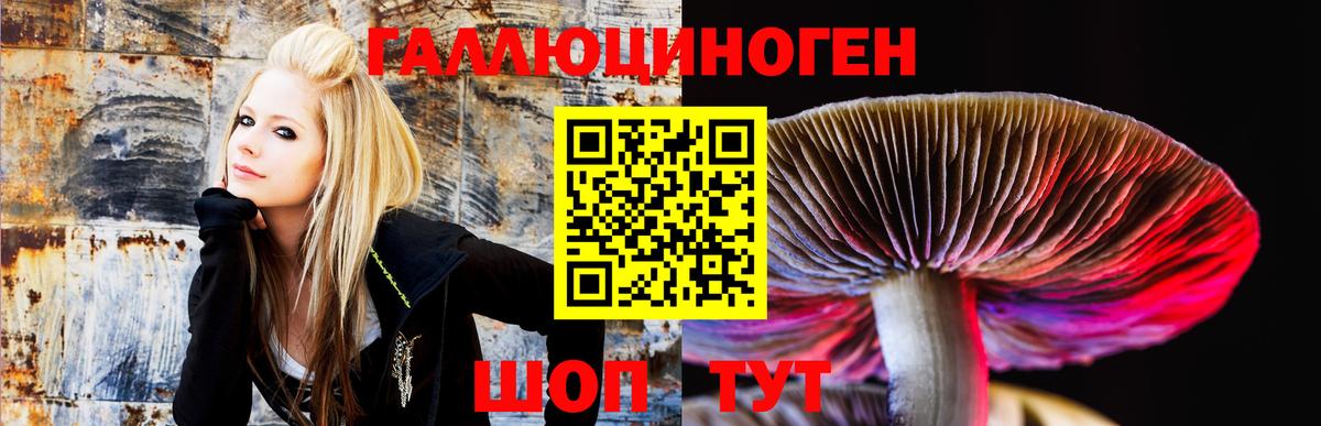Галлюциногенные грибы мухоморы Кострома